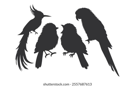 Wild Animal Bird Silhouette. Beautiful Bird Element. Elegant Bird Silhouette.