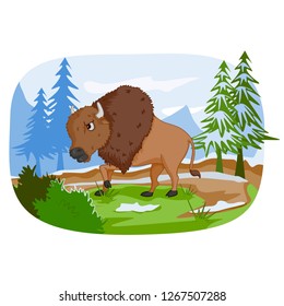 Wild animal Bison in jungle forest background in vector