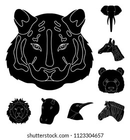 Wild animal black icons in set collection for design. Mammal and bird vector symbol stock web illustration.