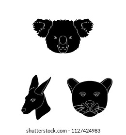 Wild animal black icons in set collection for design. Mammal and bird vector symbol stock web illustration.