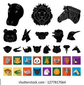 Wild animal black,flat icons in set collection for design. Mammal and bird vector symbol stock web illustration.