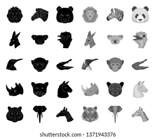 Wild animal black.mono icons in set collection for design. Mammal and bird vector symbol stock web illustration.
