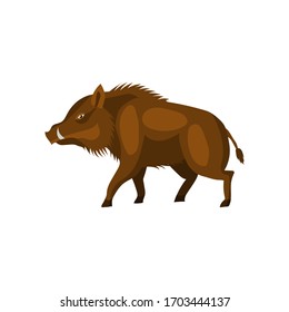 Wild animal boar, pig, vector illustration