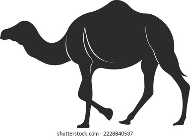 Wild animal camel. Black and white image of an animal. Camel with one hump. Vector illustration.