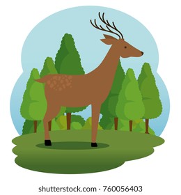 wild animal cartoon
