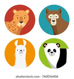 wild animal cartoon