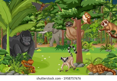 Wild animal cartoon character in the forest scene illustration