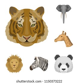 Wild animal cartoon icons in set collection for design. Mammal and bird vector symbol stock web illustration.