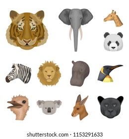 Wild animal cartoon icons in set collection for design. Mammal and bird vector symbol stock web illustration.