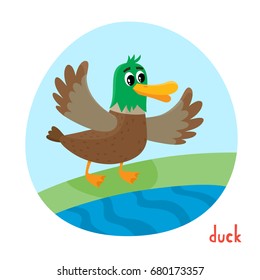 Wild animal in cartoon style. Vector illustration of duck isolated on white. Cute zoo alphabet, letter D. Illustration used for magazine, poster, card, book, web pages.