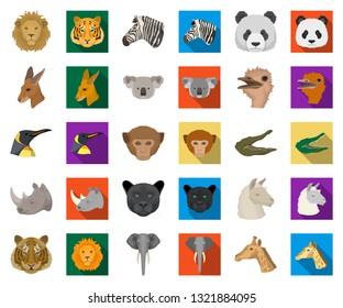 Wild animal cartoon,flat icons in set collection for design. Mammal and bird vector symbol stock web illustration.