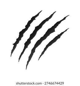 wild animal claw or scratch mark element isolated on white background . Claws beast ripped marks . claw mark clip art. vector illustration