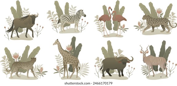 Wild animal composition set. Exotic animals with nature elements. Vector illustration isolated on white background. African elegant wildlife.