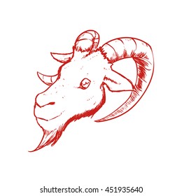 Wild animal concept represented by Goat icon. Isolated and sketch illustration