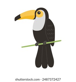 A wild animal. Cute toucan isolated on a white background. Flat vector illustrations for children.