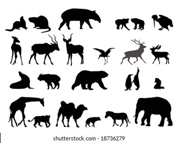 Wild Animal Detailed Silhouettes Vector Collection Stock Vector ...