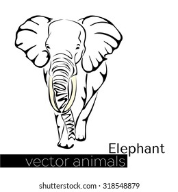 wild animal elephant. Vector illustration for greeting card, poster, or print on clothes.