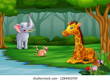 Wild animal are enjoying nature by the river