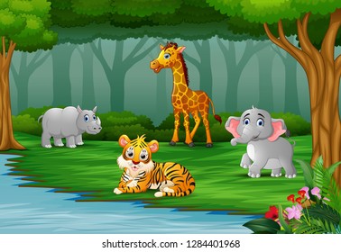 Wild animal are enjoying nature by the river