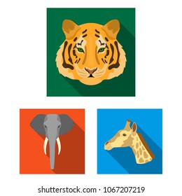 Wild animal flat icons in set collection for design. Mammal and bird vector symbol stock web illustration.