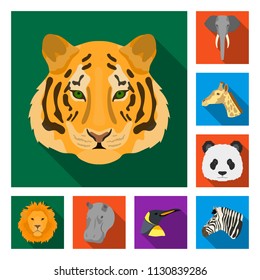 Wild animal flat icons in set collection for design. Mammal and bird vector symbol stock web illustration.