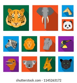 Wild animal flat icons in set collection for design. Mammal and bird vector symbol stock web illustration.