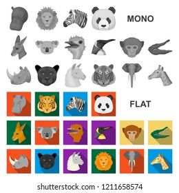 Wild animal flat icons in set collection for design. Mammal and bird vector symbol stock web illustration.