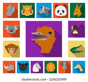 Wild animal flat icons in set collection for design. Mammal and bird vector symbol stock web illustration.