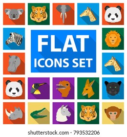 Wild animal flat icons in set collection for design. Mammal and bird vector symbol stock web illustration.