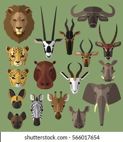 wild animal flat illustration, vector, wildlife, beast