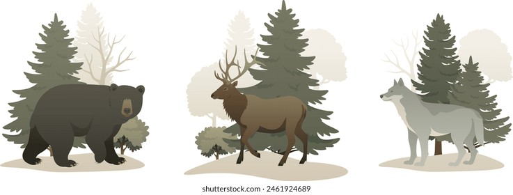 Wild animal in the forest composition set. Animals in nature vector illustration on white background. Landscape elements include trees, bear, elk, wolf.