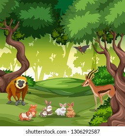 Wild animal in forest illustration