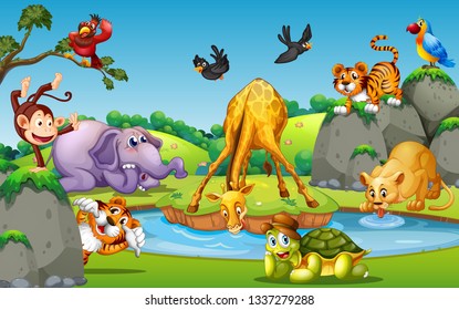 Wild animal in forest illustration