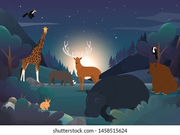 Wild Animal And The Forest At Night