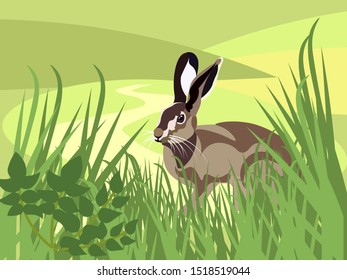 Wild animal. A hare is sitting in the grass. In minimalist style. Cartoon flat vector.