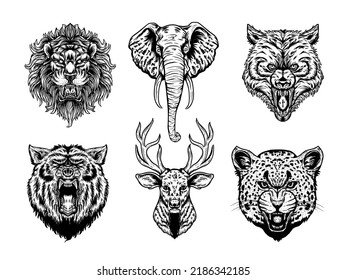 Wild animal head collection vector detailed and easy to edit