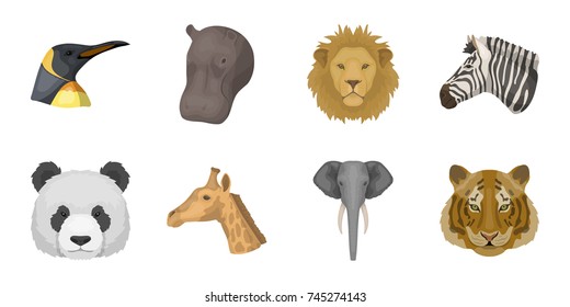 Wild animal icons in set collection for design. Mammal and bird vector symbol stock web illustration.