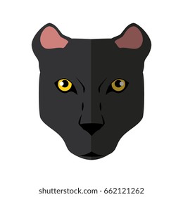 Wild animal jaguar