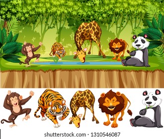 Wild animal in jungle illustration