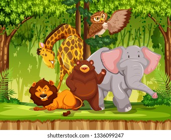 Wild animal in the jungle illustration