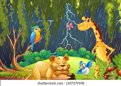 Wild animal in the jungle illustration