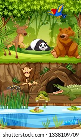 Wild animal in jungle illustration
