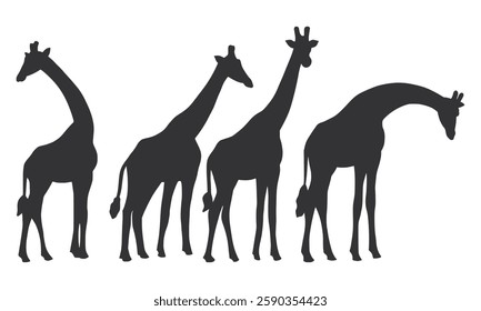 Wild Animal Long Neck Giraffe Silhouette. Black Giraffe Silhouette on White Background.