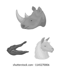 Wild animal monochrome icons in set collection for design. Mammal and bird vector symbol stock web illustration.