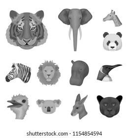 Wild animal monochrome icons in set collection for design. Mammal and bird vector symbol stock web illustration.