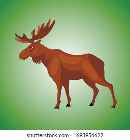 Wild animal moose, drawing, vector illustration, green background