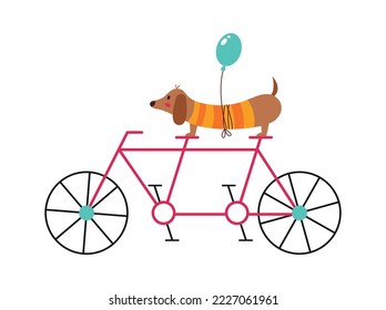 Wild animal on bike flat icon Dachshund Dog with balloon