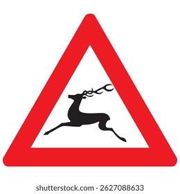 A wild animal on the road	