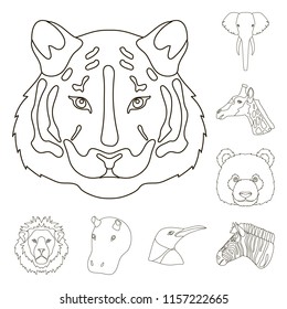 Wild animal outline icons in set collection for design. Mammal and bird vector symbol stock web illustration. Wild animal outline icons in set collection for design. Mammal and bird vector symbol stock web illustration.