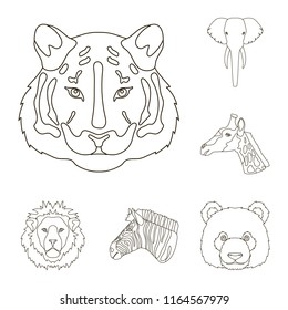 Wild animal outline icons in set collection for design. Mammal and bird vector symbol stock web illustration.